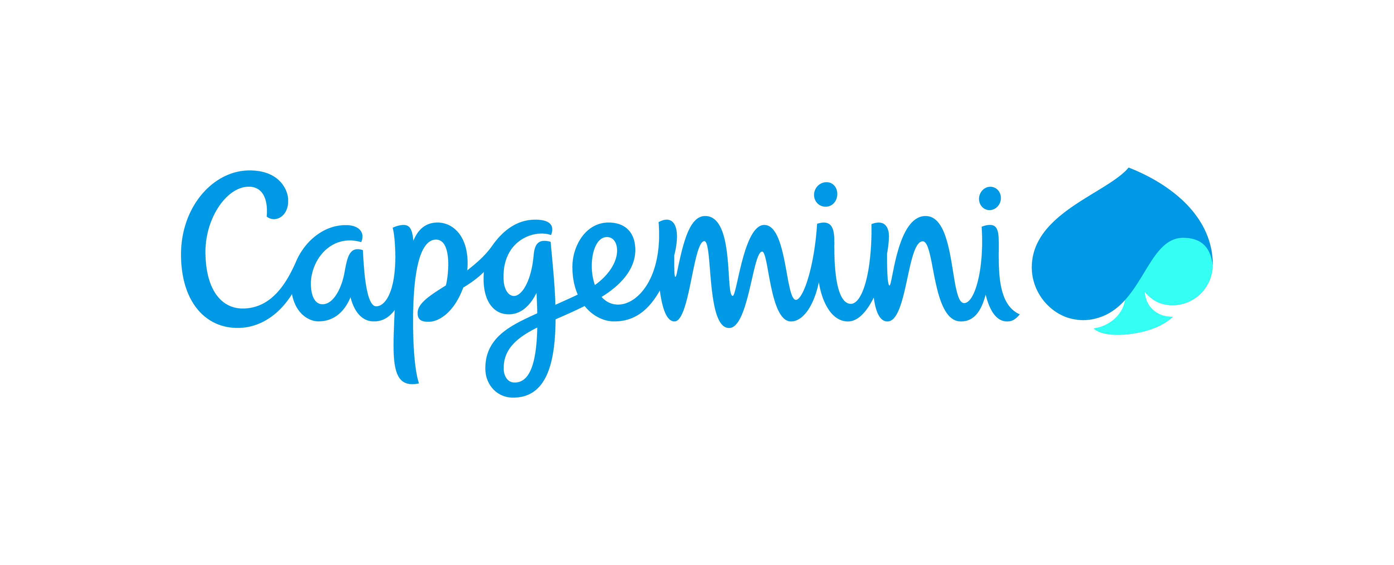 Logo adherent CAPGEMINI Technology Services