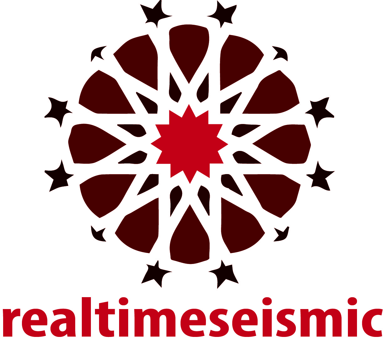 Logo adherent REALTIMESEISMIC