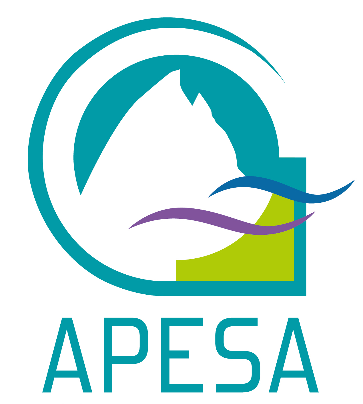Logo adherent APESA