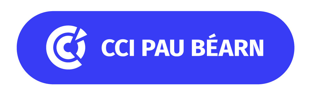 Logo adherent CCI PAU BEARN