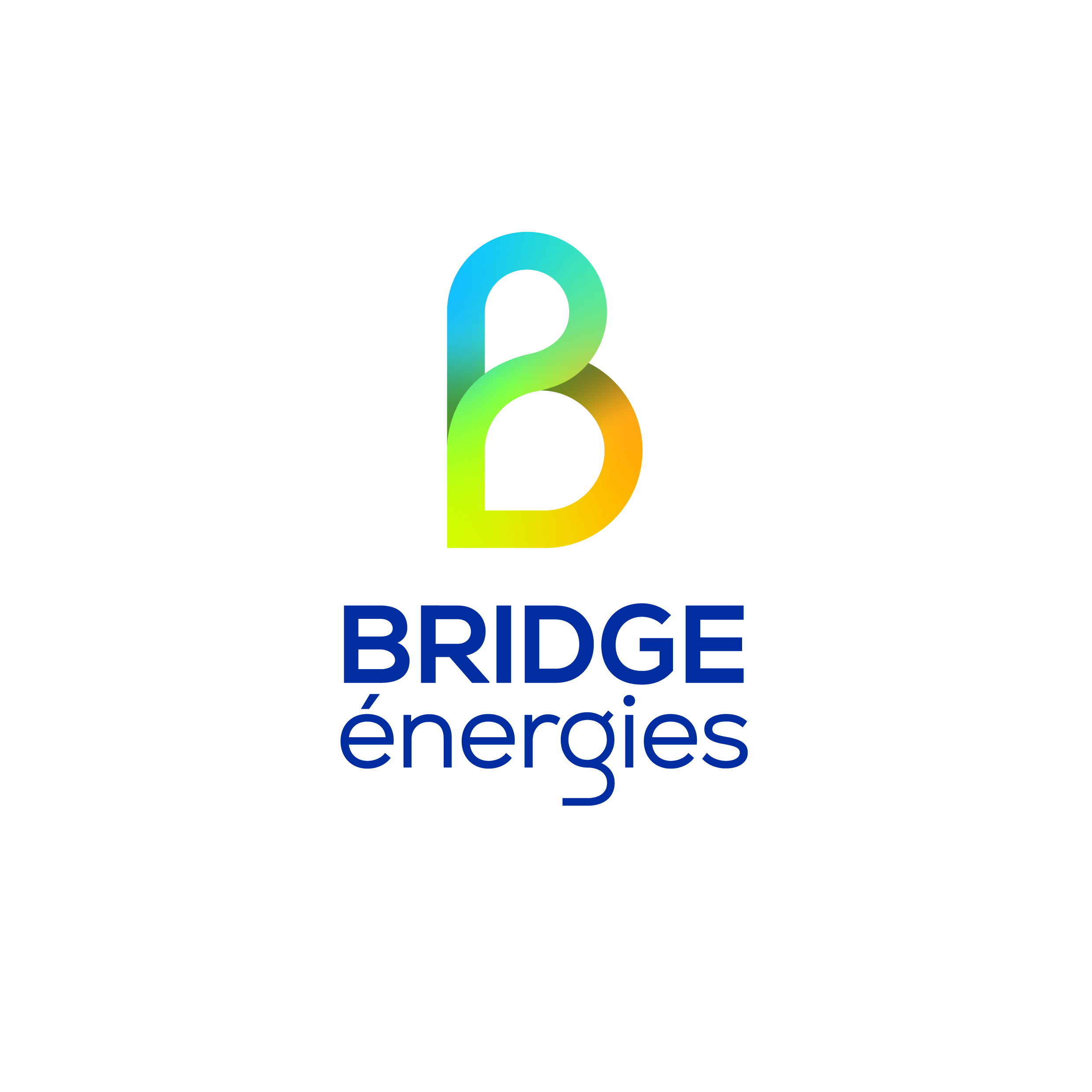 Logo adherent BRIDGE ENERGIES