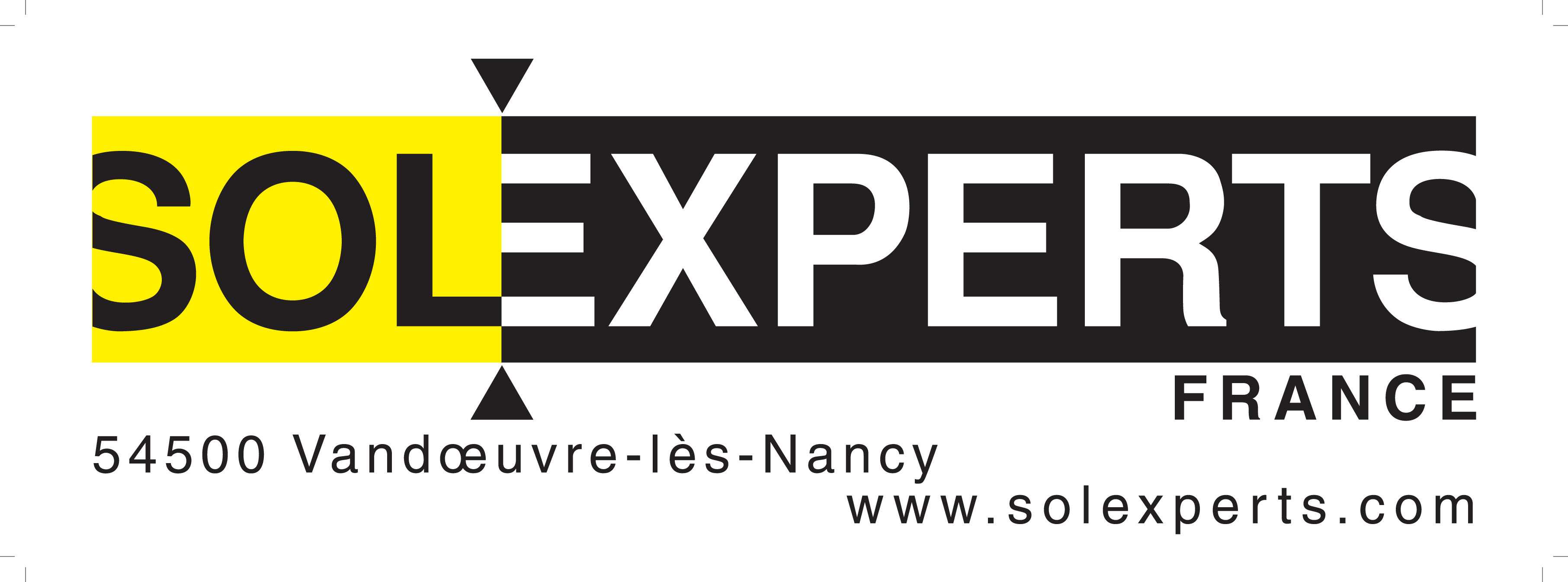 Logo adherent SOLEXPERTS FRANCE