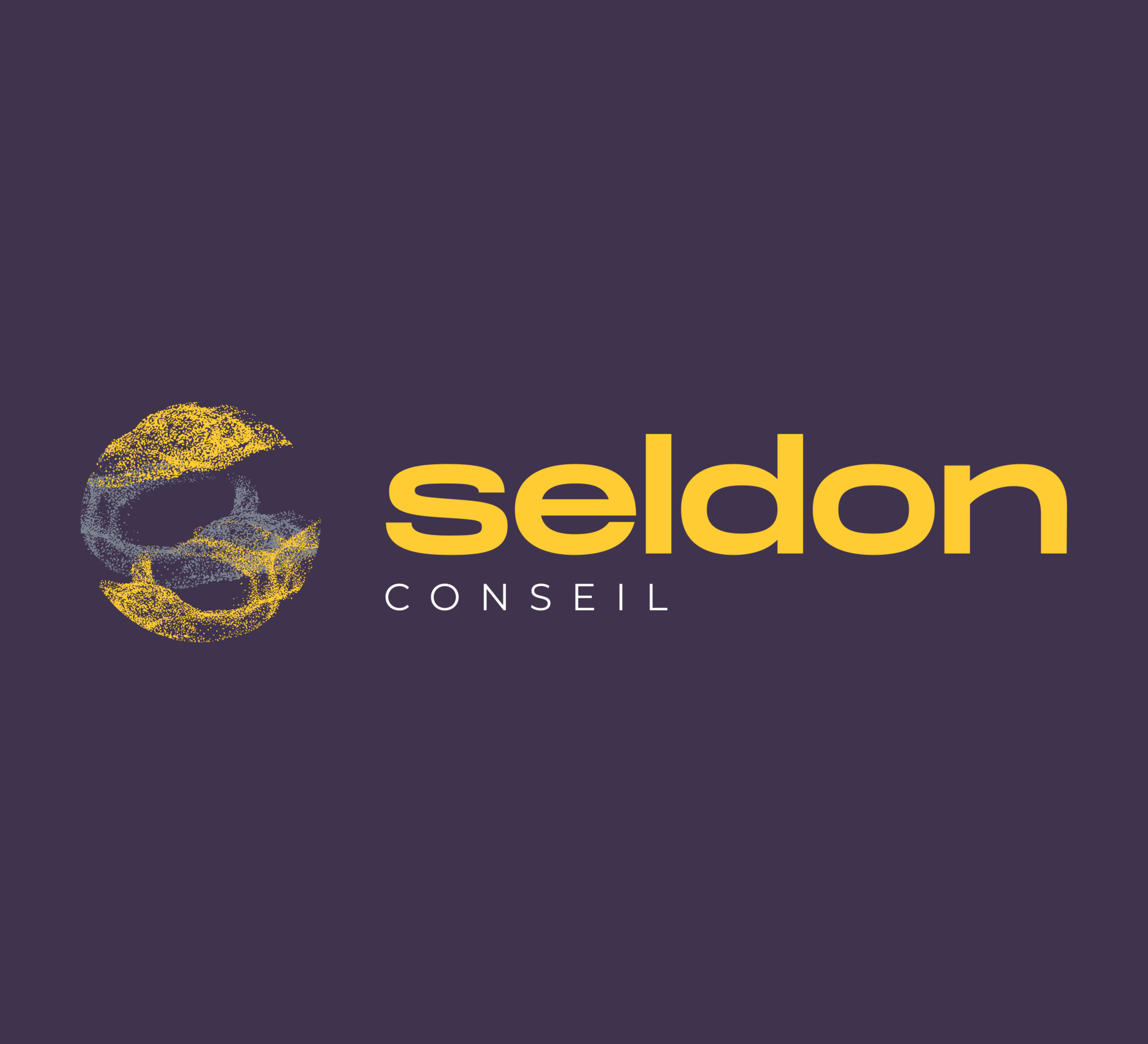 Logo adherent SELDON Conseil